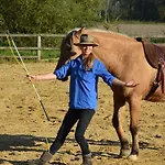 Bienvenu Dans Le Passo Chez Pommes & Chevaux *