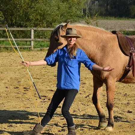 Bienvenu Dans Le Passo Chez Pommes&chevaux *